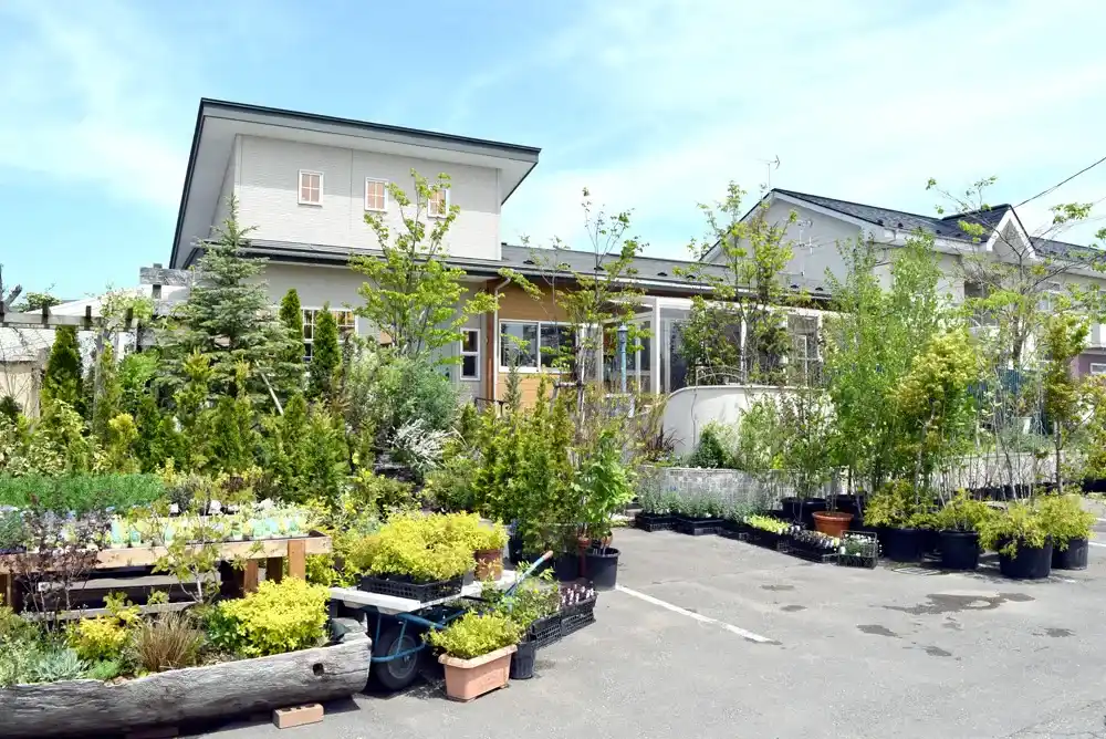 植木販売の様子