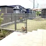 ドッグランのゲートの前に座る柴犬、奥には庭とベンチ