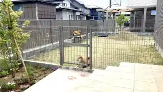 秋田市 I様邸 ドッグラン、エクステリア施工例