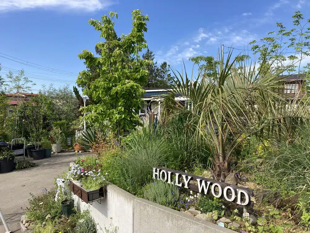 「HOLLY WOOD」の看板がある日本の庭園、南国風の植物と豊かな緑、庭の景観
